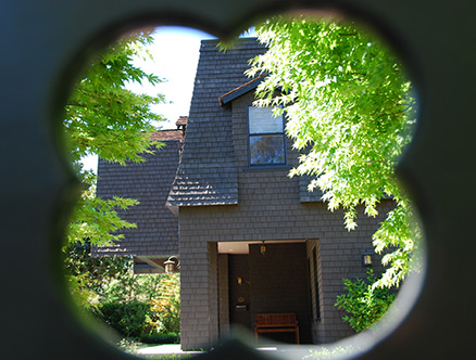 view through fence