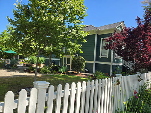 side yard