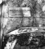 plaque