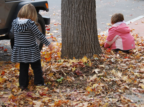 fun in the leaves