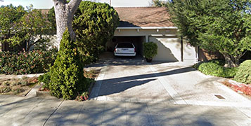 Google image
