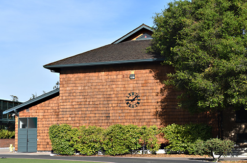 chapel back