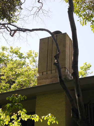 chimney detail