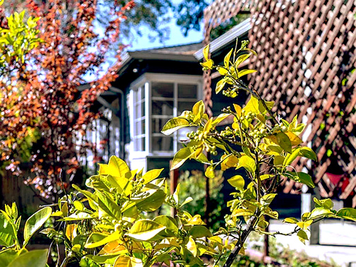 side of house and patio