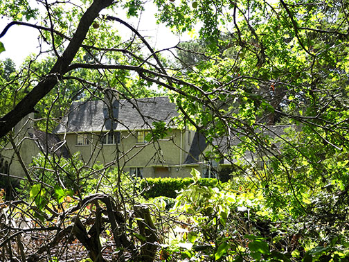 1050 Campus through trees