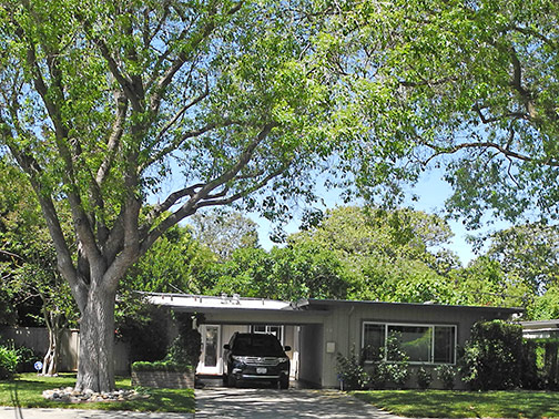 Green Gables Eichler