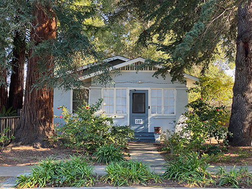Colleen Braff photo