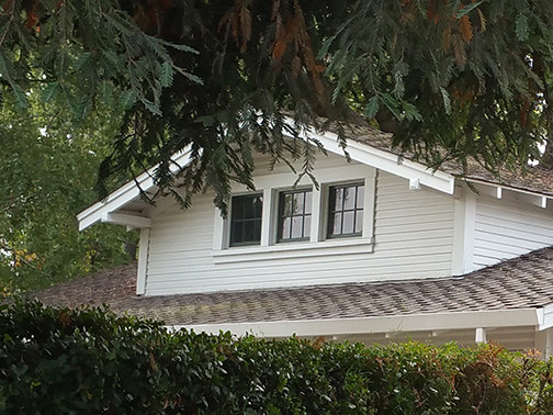 gable detail