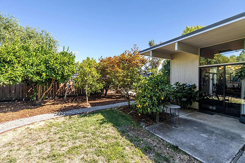 back yard