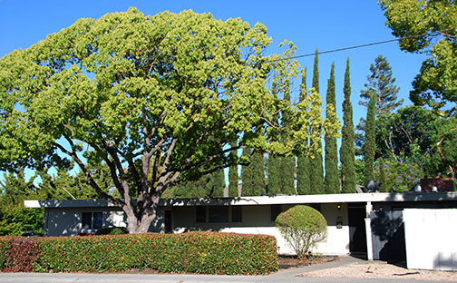 Fairmeadows Eichler