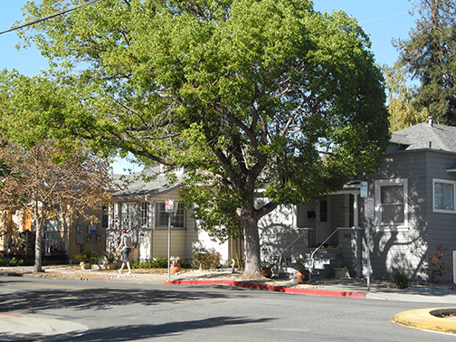 house at far left