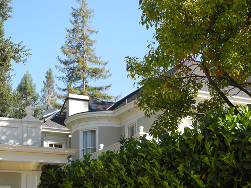 roof detail