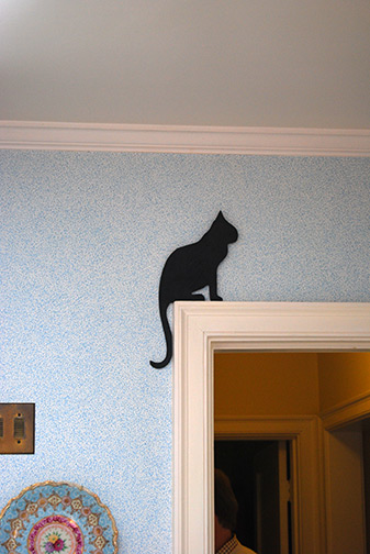 cat on door frame