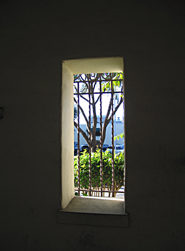 window