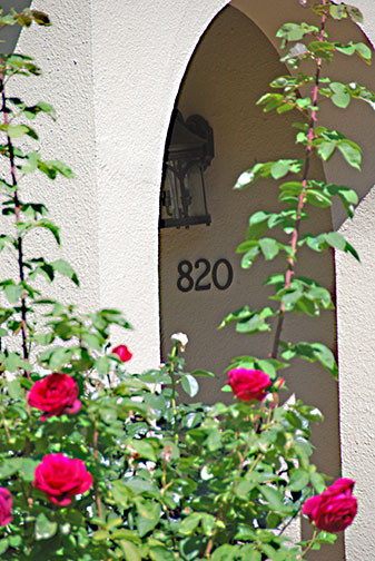 roses and address