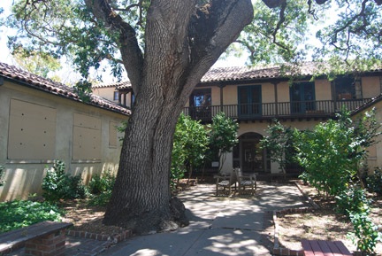 Clinci Courtyard