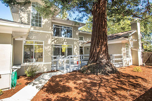 redwood tree trunk beside house