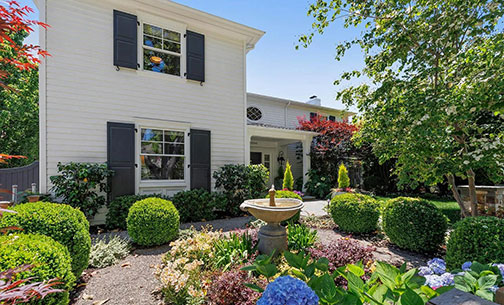 front garden