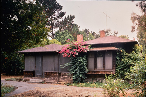 colorized photo