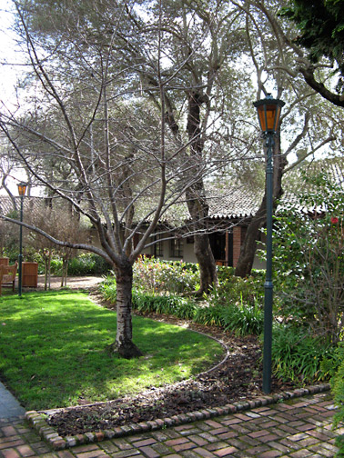 courtyard