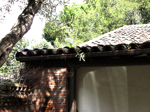 roof detail