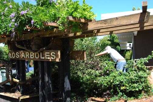 work on Los Arboles sign