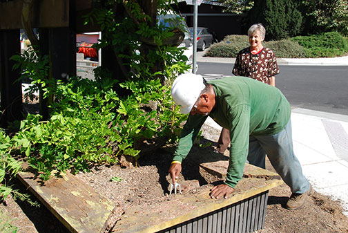 clearing dirt away