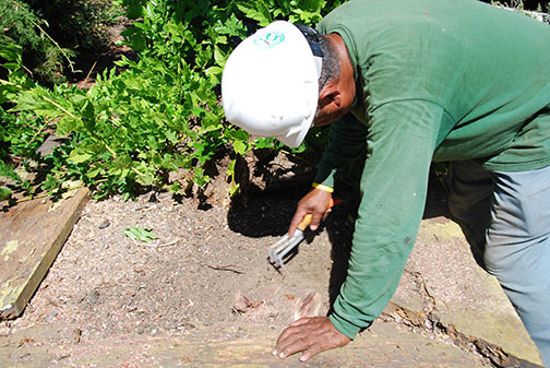 clearing dirt away