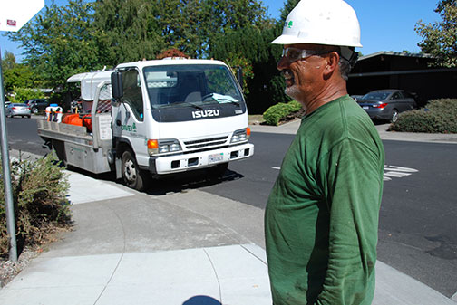 arborist