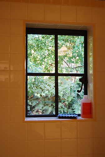 bathroom window