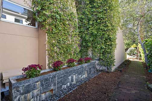 chimney side of house