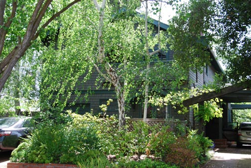 2012 photo with trees