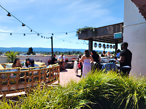 roof top bar