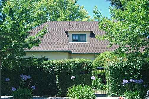 2010 photo