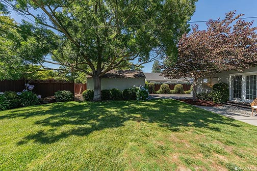 back yard