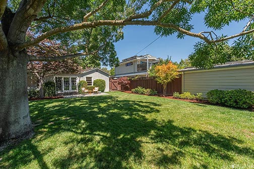 back yard