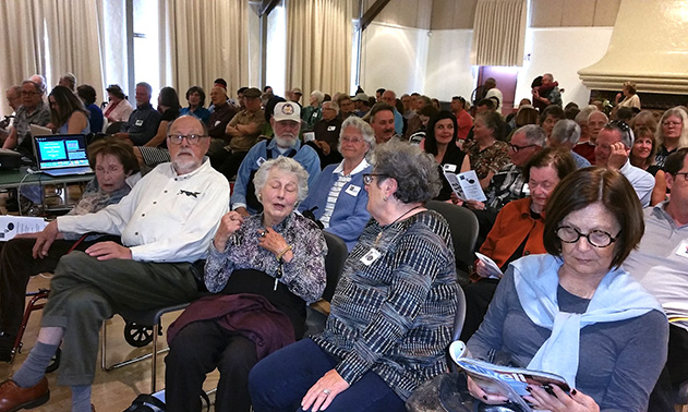 audience